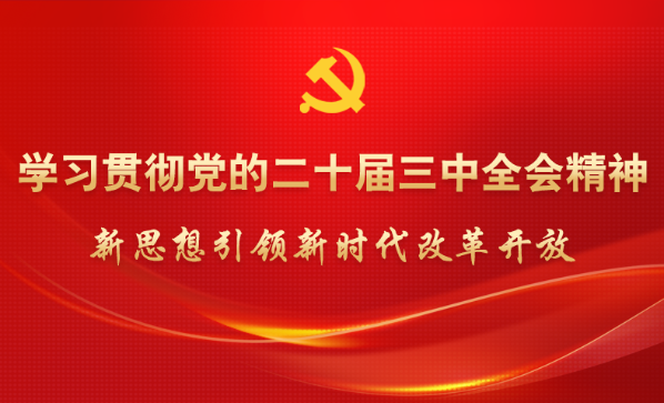 學習貫徹黨的二十屆三中全會精神 新思想引領新時代改革開放